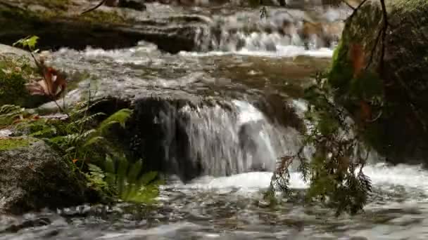 Vatten Faller Hastighet Terapeutisk Andlig Tapet Närbild — Stockvideo