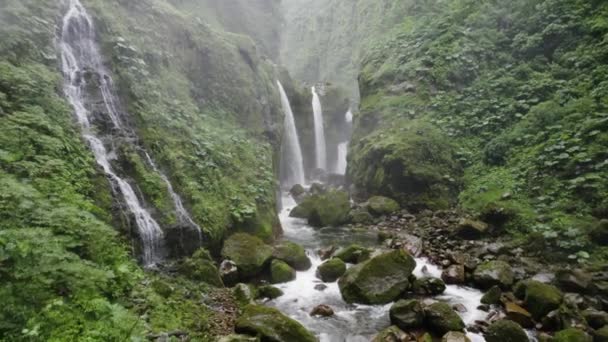 Secreto Cae Cascada Desfiladero Selva Remota Costa Rica Aéreo — Vídeo de stock