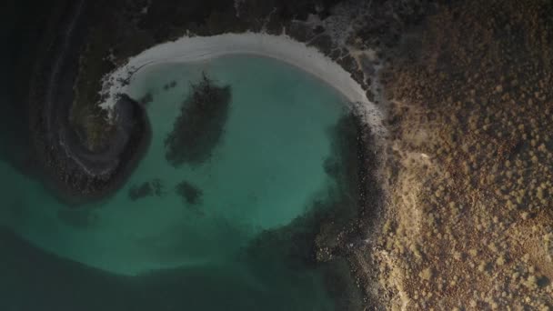 Sandy Beach Gulf Isla Coronado Baja California Mexico Aerial — Stock Video