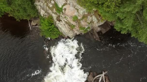 Birds Eye Shot Creek Small Waterfall Green River Bank Pine — стоковое видео