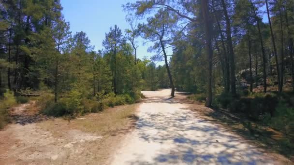 Fransa Yaz Boyunca Fontainebleau Park Taki Boş Toprak Yol Çekim — Stok video