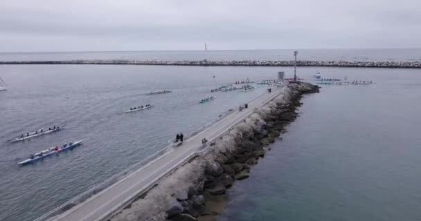 Rowing Competition Marina Del Rey Coastal Town Harbor Drone Shot — Stock Video