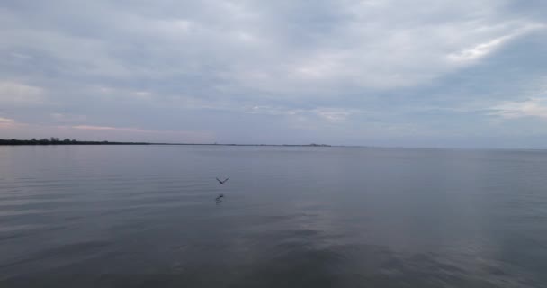 Drone Disparo Volando Sobre Costa Fort Myers Isla Sanibel Florida — Vídeos de Stock