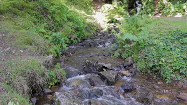 Agua Cayendo Cascada Sobre Rocas Mientras Fluye Por Una Cascada — Vídeos de Stock
