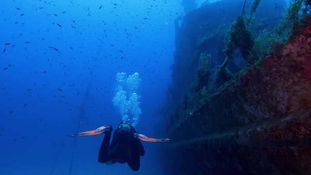 Человек Ныряет Кристально Голубую Воду Проходит Мимо Гнилого Затонувшего Корабля — стоковое видео
