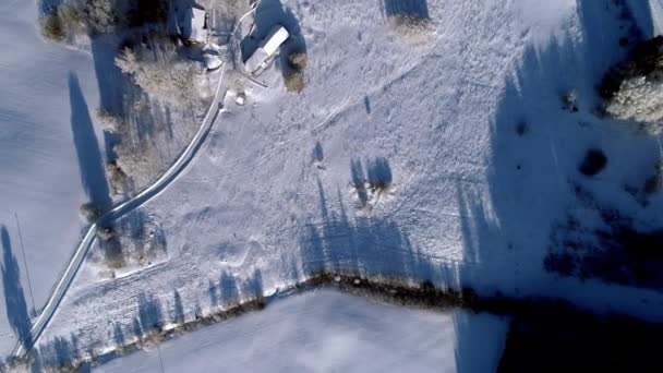 Létání Zasněžených Polích Pohled Ptačí Perspektivy Zimní Krajinu — Stock video