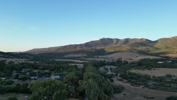 Moyenne Altitude Volant Vers Avant Sur Les Arbres Vers Les — Video