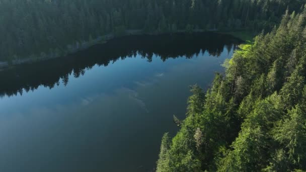 沿着湖岸的空中拍摄 以揭示一个隐秘的海湾 — 图库视频影像