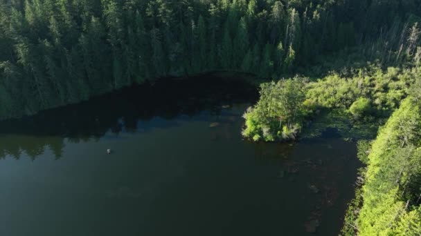 Disparo Aéreo Órbita Una Bahía Lago Poco Profundo Con Denso — Vídeo de stock