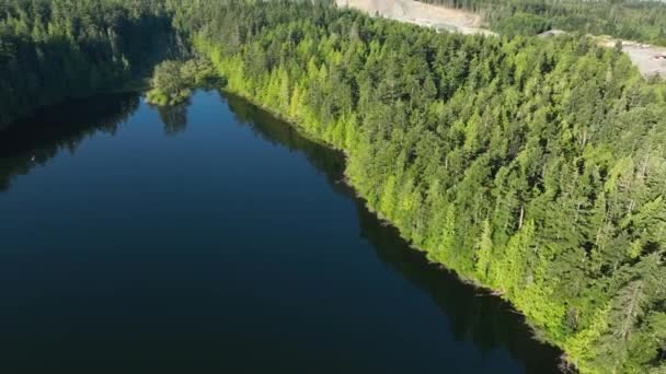 Orbitando Tiro Dron Una Orilla Del Lago Llena Árboles Densos — Vídeo de stock