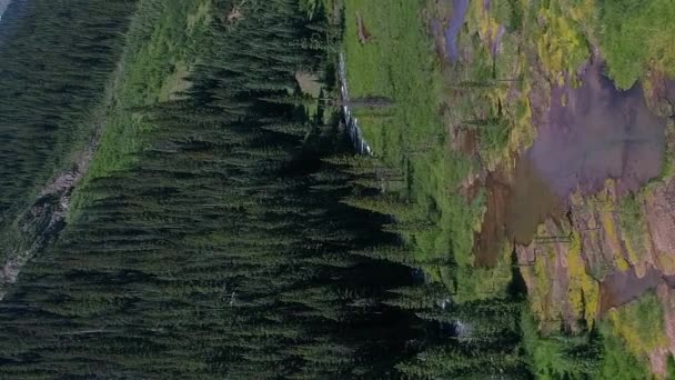 Voo Aéreo Através Vale Nas Montanhas Colorado Sobre Riacho Fluindo — Vídeo de Stock