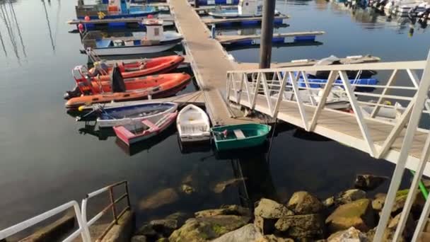 Sok Halászati Szabadidős Hajók Kis Kikötőben Halpiac Épület Háttérben Egy — Stock videók