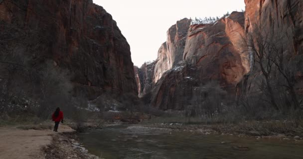 Woman Walking Next Flowing River Zion National Park Showing Surrounding — Stock Video