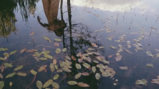 池で踊る女性の反射 色のグラデーション スローモーション カメラの動き — ストック動画