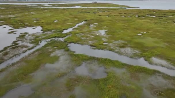 Uma Vista Aérea Sobre Pântanos Sal Hempstead Dia Nublado Câmera — Vídeo de Stock