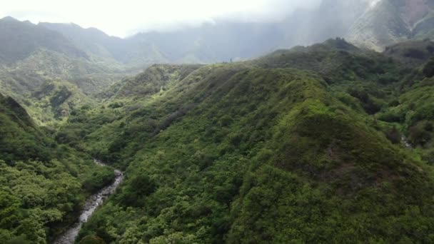 Maui Reveló Río Iao Fluye Bajo Las Frondosas Selvas Tropicales — Vídeo de stock