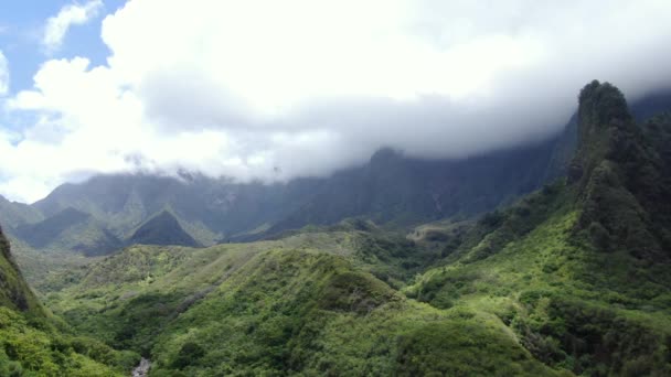 长针是毛伊岛的天然地标 也是夏威夷历史的神圣象征 从空中拍摄公园 — 图库视频影像