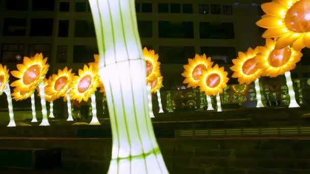 荷兰埃因霍温举办的Glow灯节上的葵花灯 — 图库视频影像