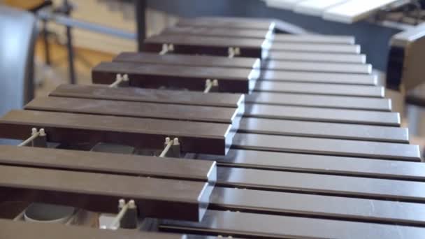 Glockenspiel Aluminium Stahlstangen Schlaginstrument Nahaufnahme Neigung — Stockvideo