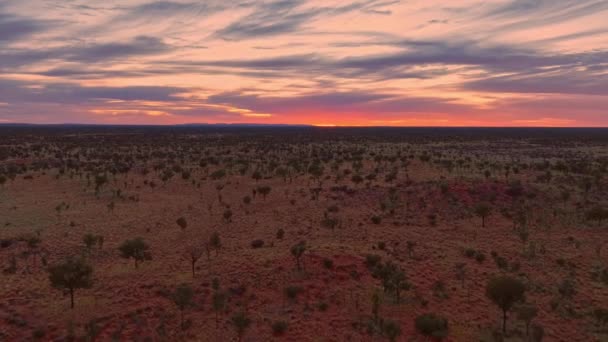 Voando Através Deserto Vermelho Deslumbrante Plena Floração Direção Nascer Sol — Vídeo de Stock