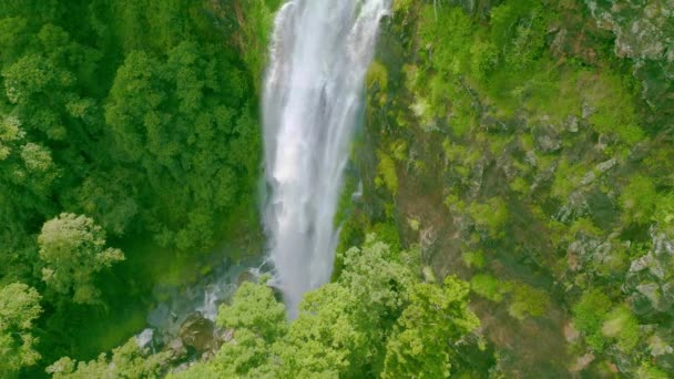 Cachoeira Rugindo Mergulha Uma Ravina Cercada Por Uma Floresta Tropical — Vídeo de Stock