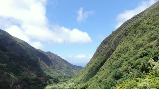 Wolken Ziehen Über Die Förmige Talmündung Iao State Park Statische — Stockvideo