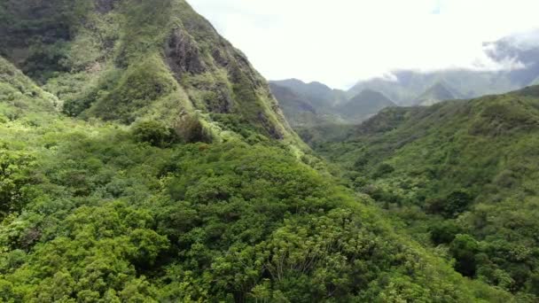 Nádherný Výhled Iao Valley State Park Maui Statický Vzdušný Výstřel — Stock video