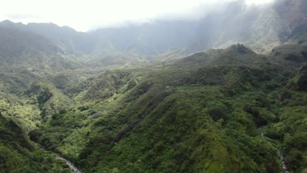 Vistas Espectaculares Del Valle Iao Río Que Atraviesa — Vídeo de stock