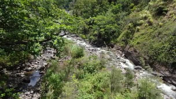 Wailuku River Running Jungles Iao Valley Aerial Parallax Shot — Stock Video