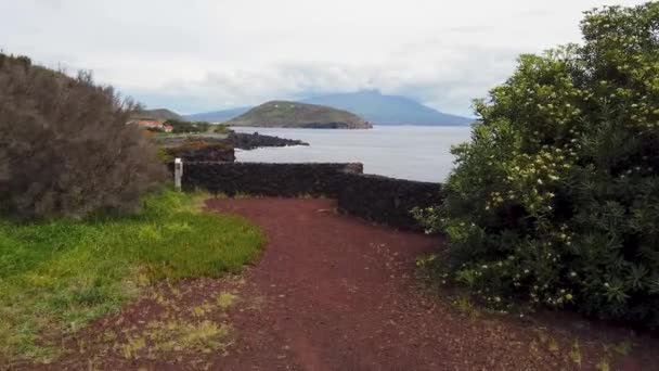 Avslöjande Landskap Azorerna Faial Island Med Oceanen Träffar Stranden Och — Stockvideo