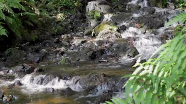 Víz Zuhogott Sziklák Felett Egy Vízesésen Burratorban Devon Angol Megyében — Stock videók