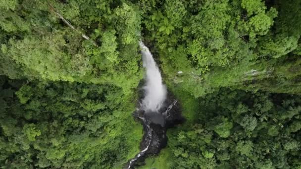 Impresionantes Caídas Cascada Por Acantilado Con Exuberante Vegetación Cañón Del — Vídeos de Stock