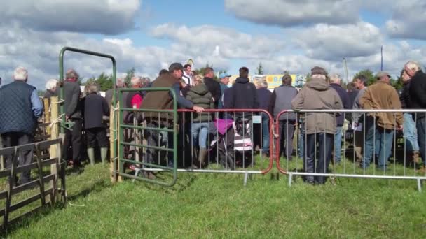 Des Agriculteurs Réunis Autour Anneau Vente Aux Enchères Que Les — Video