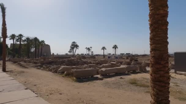 Nézz Nyílt Mezőn Kősorokkal Luxor Temple Komplexumból — Stock videók