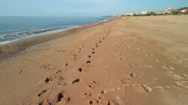 Stabilized Image Beach Malgrat Mar Province Barcelona Dog Tracks Sand — Stock Video