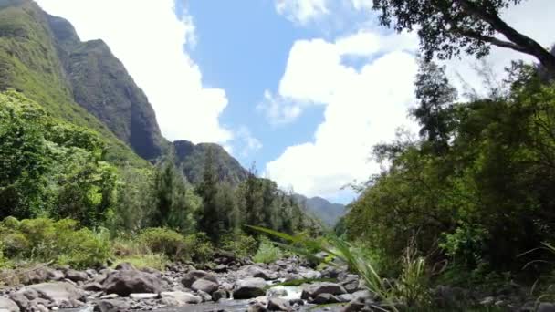 Iao Vadisi Eyalet Parkı Alçaktan Uçan Sinematik Parallaks Efekti Vadi — Stok video