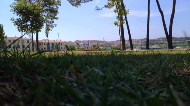 Kinderen Met Hun Moeder Spelen Het Aangelegde Park Met Bomen — Stockvideo