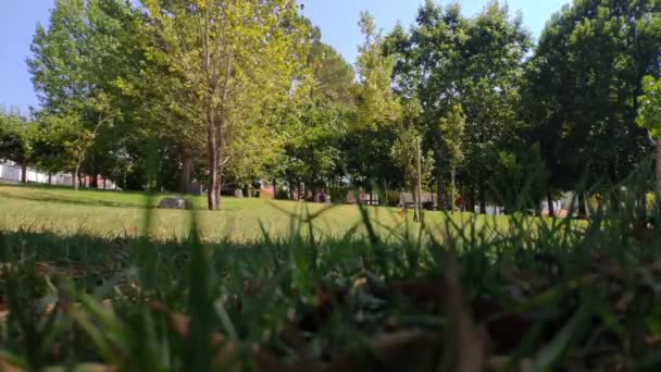 Emberek Élvezik Szabadidőt Fák Alatt Egy Parkosított Park Szél Mozog — Stock videók