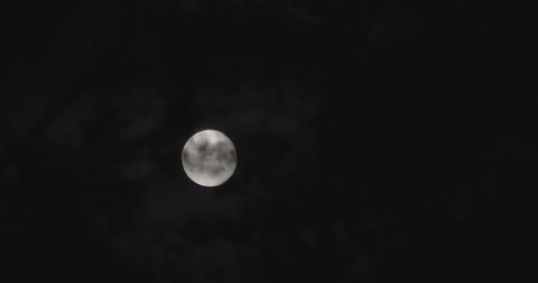 Time Lapse Full Moom Poruszające Się Chmurach Ciemnej Nocy Mystic — Wideo stockowe