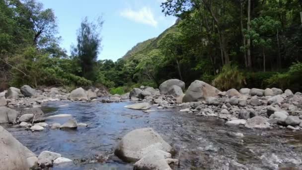 Sacro Storico Torrente Iao West Maui Drone Basso Volo Che — Video Stock