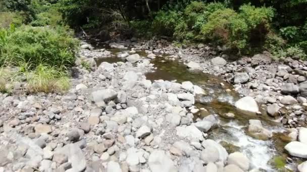 Iao River Stream Flowing Downstream Low Flying Drone Footage — Stock Video