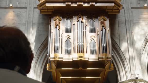 Grenzing Organ Michael Gudula Cathedral Brussels Belgia Kirkegjenger Hørsel Messen – stockvideo