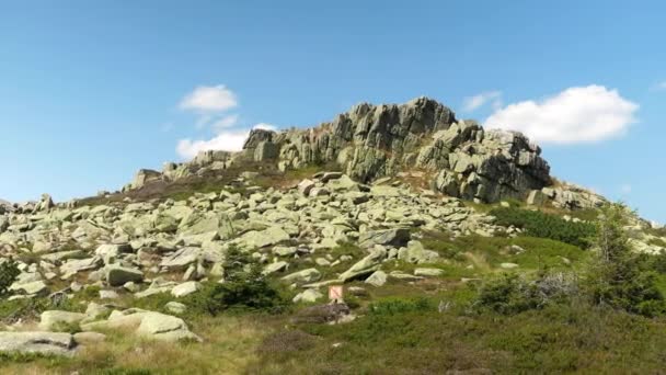 Algae Stained Giant Mountains Karkonosze Sudetes Region — Stock Video