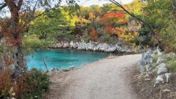 Malinski Szlak Turystyczny Sosnami Pobliżu Morza Adriatyckiego Między Njivicami Malinską — Wideo stockowe