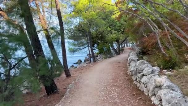 在克罗地亚Krk的Njivice和Malinska之间 靠近阿得里亚海的有松树的风景远足小径 — 图库视频影像