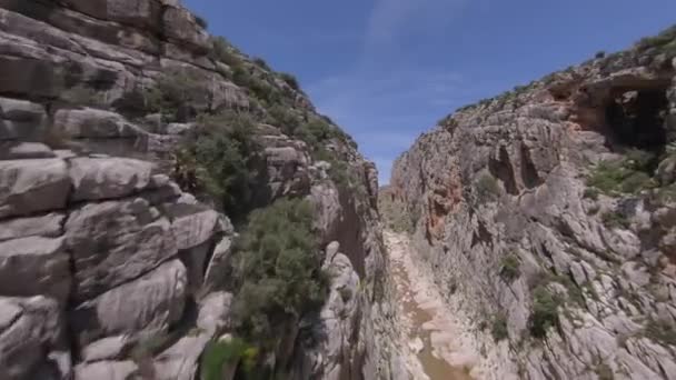 Fpv Flight Dives Fast Rugged Canyon Rim Narrow River — Stock Video