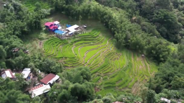 Tarasy Ryżowe Nagaland Pole Paddy Stacji Wzgórza — Wideo stockowe
