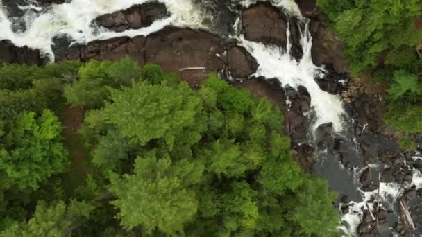Nehir Yaz Boyunca Bir Ormanda Akan Şelaleye Dönüşür — Stok video