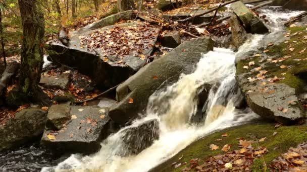 Rapids Olbrzymie Skały Pędzi Góry Sezonie Jesiennym Zamknij Się — Wideo stockowe