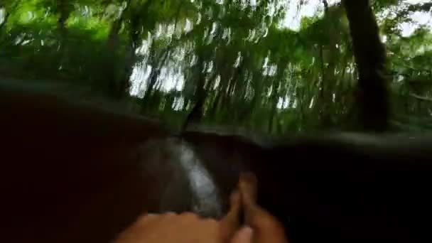 Kosta Rika Yağmur Ormanlarındaki Bir Orman Kaydırağında Kayan Bir Turistin — Stok video